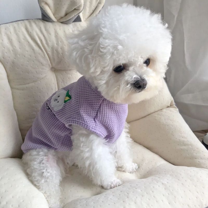 Mùa hè Mỏng Siêu Nhỏ Thoáng Khí Thú Cưng Vest Teddy Cat Tiếng Anh Ngắn Bichon Pomeranian Muppet Chó Quần Áo Đa Năng
