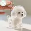 PUSKY Clear Puppy Hair Memorial Keepsake Capsule Pet 's Dog Fur Container DIY Mặt dây chuyền Móc khóa Trang trí Pet Lovers Home Display Quà tặng VN