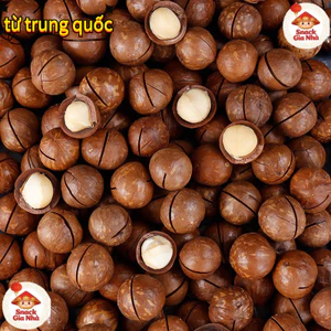 500gHạt macca daklak sấy chín (còn vỏ),Bổ dưỡng và tốt cho sức khỏe
