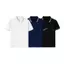 COMBO 3 ÁO 2026 ÁO POLO PHỐI BO VIỀN 02 VẢI THUN CÁ SẤU POLY