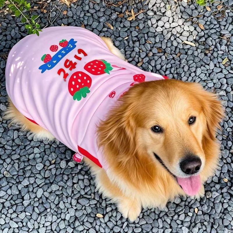 2025 Ngoài Trời Thú Cưng Vest Golden Retriever Samoyera Prado Chó Lớn Dễ Thương Quần Áo Cho Chó Khuyến Nghị