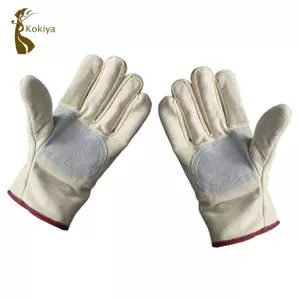 Găng tay hái sầu riêng, Tấm bảo vệ lòng bàn tay, Phụ kiện, Đồ dùng, Bảo vệ,