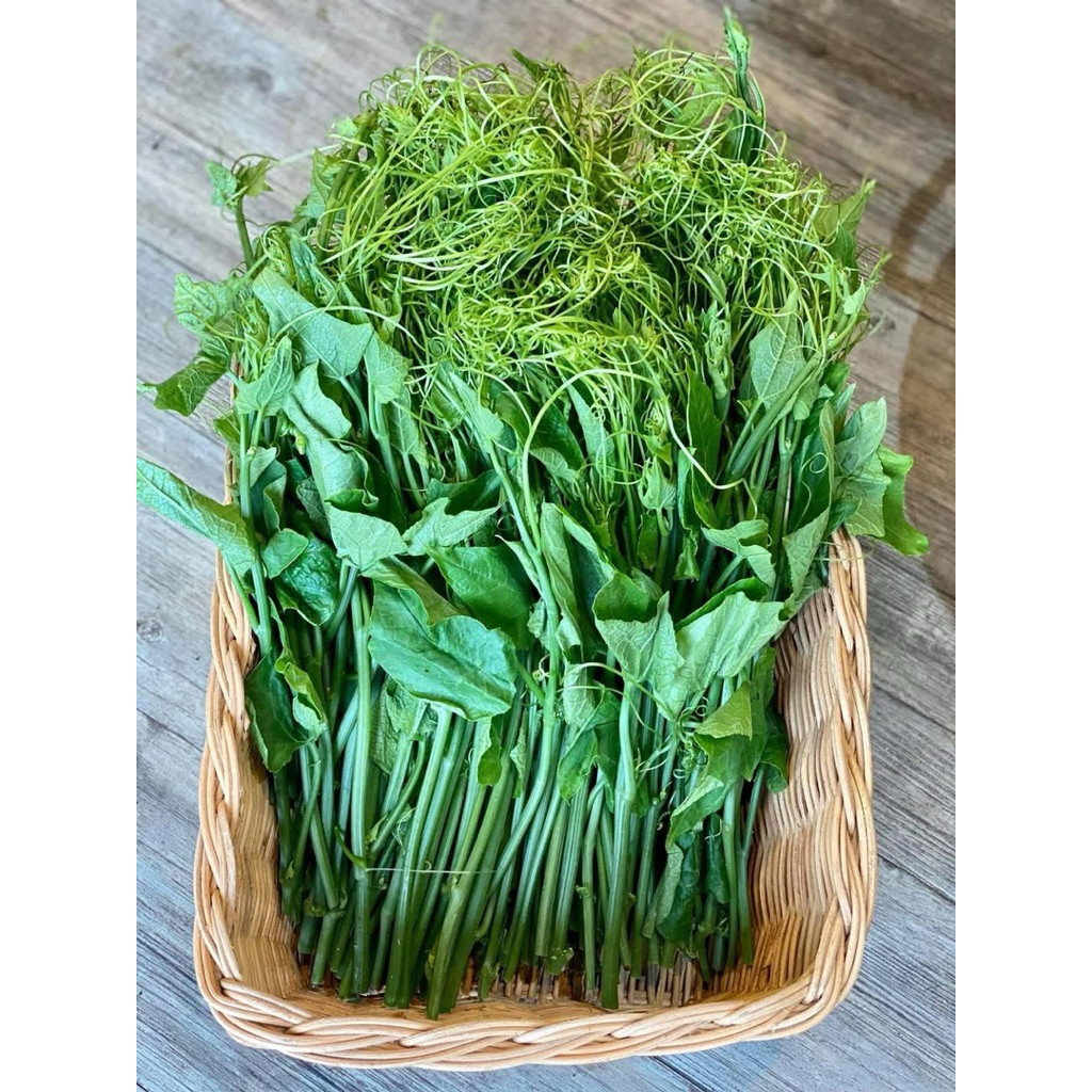 1KG Đọt Bầu/Đọt Bí/Đọt Su Tươi – Rau Sạch, Non Ngọt [Giao HCM] | Shopee  Việt Nam