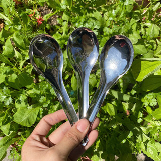 Set 20 / 50 Muỗng canh bầu inox 304, thìa inox ngắn tròn