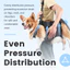 HamshMoc Dog Lift Harness Hỗ trợ Sling cho thú cưng khuyết tật bị thương Dây đeo có thể điều chỉnh cho chó cao cấp