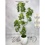 Cây Giả Ngũ Gia Bì Nhập Khẩu Lá Nhựa In 5D Không Chậu – Decor Phòng Khách Văn Phòng Khách Sạn Nhà Hàng – Cảnh Nhi Flower — ảnh 1