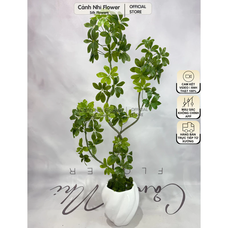 Cây Giả Ngũ Gia Bì Nhập Khẩu Lá Nhựa In 5D Không Chậu – Decor Phòng Khách Văn Phòng Khách Sạn Nhà Hàng – Cảnh Nhi Flower — ảnh 1