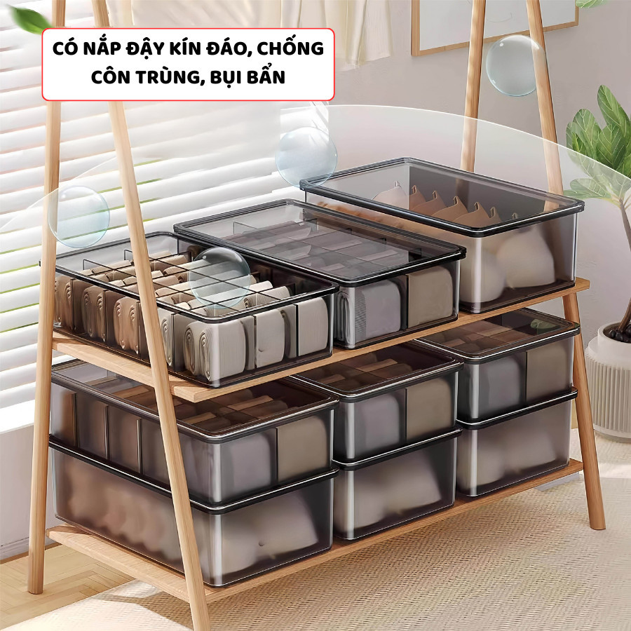 Hộp Trong Suốt Có Nắp Đựng Đồ Lót ENODA HOME, Hộp Nhựa Chia Ngăn Đựng Tất Vớ, Quần Áo Lót P800