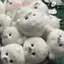 Búp bê con dấu dễ thương Mặt dây chuyền đồ chơi sang trọng Mô phỏng Đồ chơi đại dương Con dấu lưu niệm Mặt dây chuyền Quà tặng Túi búp bê Mặt dây chuyền