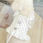 Đầm chấm bi cho thú cưng Quần áo cho chó mèo Dây xích mèo Đi bộ chống vỡ Dây Vest cho chó cưng Maltese Yorkshire Dây đeo ngực
