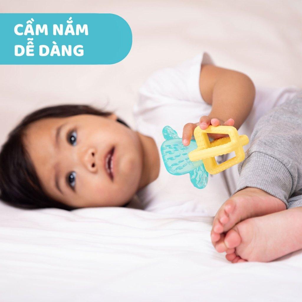 Gặm nướu xương rồng Chicco