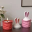 KIKIN Sáng Tạo Tai Dài Thỏ Khuôn Silicon Cho Dự Án Hộp Đựng Đồ DIY