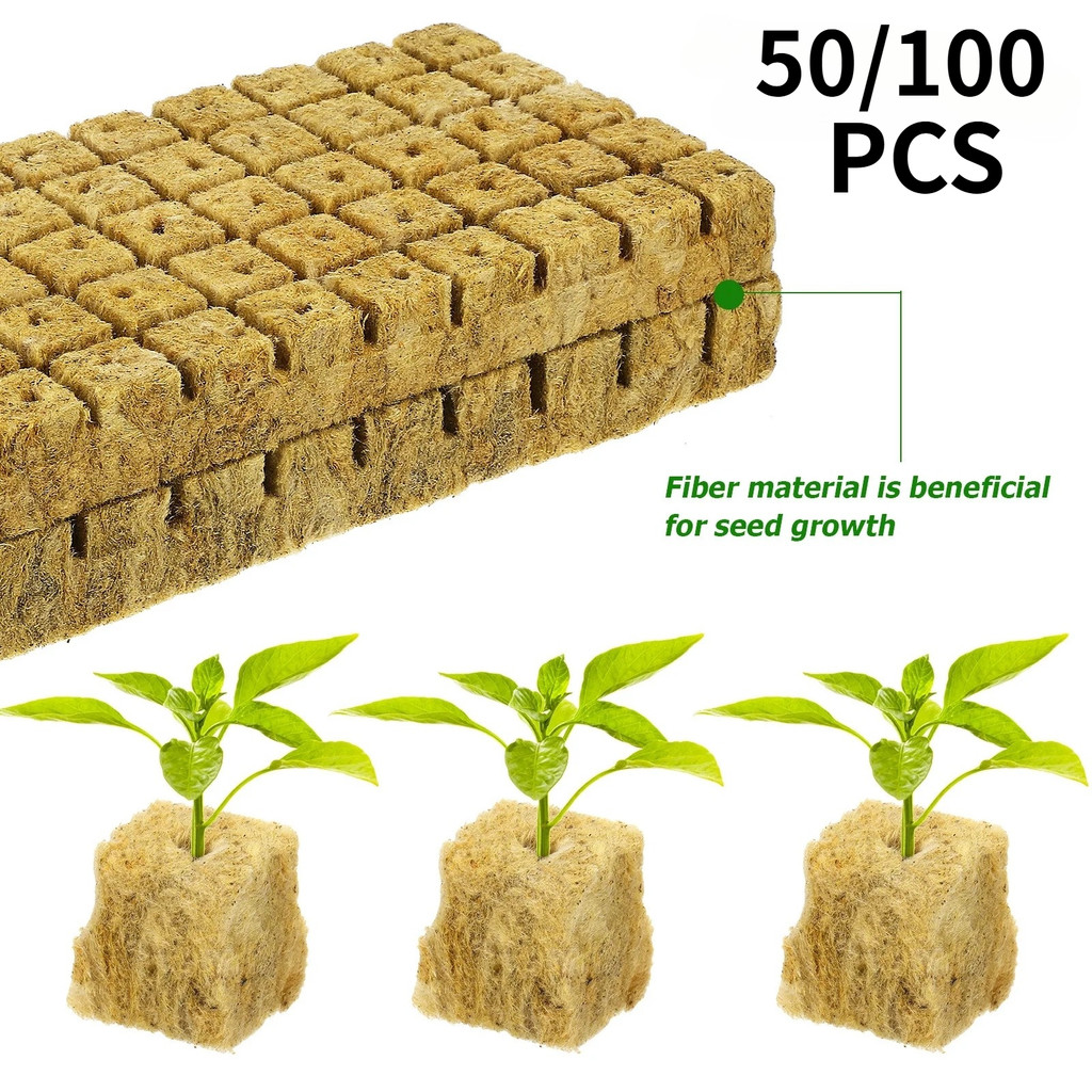 50 / 100 CÁI Văn hóa không đất Rockwool Khối trung bình Hydroponic Seeding Khối trồng cây cho cây