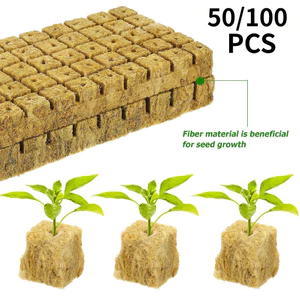 50 / 100 CÁI Văn hóa không đất Rockwool Khối trung bình Hydroponic Seeding Khối trồng cây cho cây