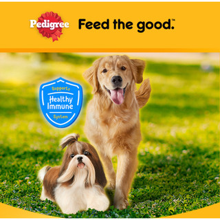 Thức Ăn Cho Chó Hạt Pedigree 1.3kg và 1.5kg