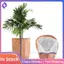 Vỏ cách nhiệt cây chống gió sương giá-Trở dây rút thân thiện với môi trường cho cây trồng trong chậu & cây ăn quả
