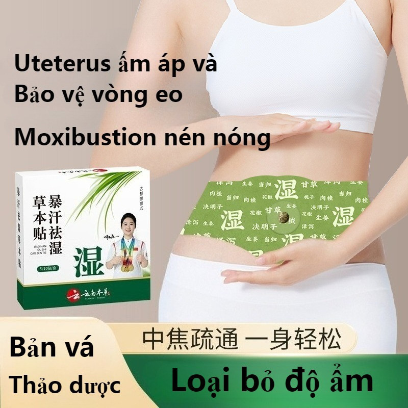 [ 1 HỘP 5 MIẾNG ] Miếng dán giảm béo thảo dược - PTLUXURY dán bụng dán cổ vai gáy đều được hết