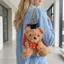 QEARY Gấu Tốt Nghiệp Móc Khóa, Đồ Chơi Sang Trọng Gấu Tốt Nghiệp 13cm Dễ Thương, Hoạt Hình Nhồi Bông Mềm Phước Lành Treo Dr Bear Sang Trọng Búp Bê Tốt Nghiệp