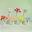 Ins Phong Cách Sáng Tạo Mô Phỏng Gypsophila Chai Thủy Tinh Bó Hoa Ba Chiều Dạ Quang Để Bàn Đồ Trang Trí Nhỏ Phụ Kiện Xe Hơi Handmade diy Phụ Kiện Trang Sức
