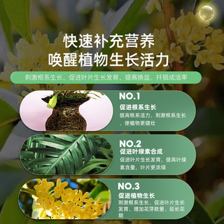 Phân bón hoa Osmanthus chuyên dụng, hỗ trợ bốn mùa, bổ sung nitơ, phốt pho, kali