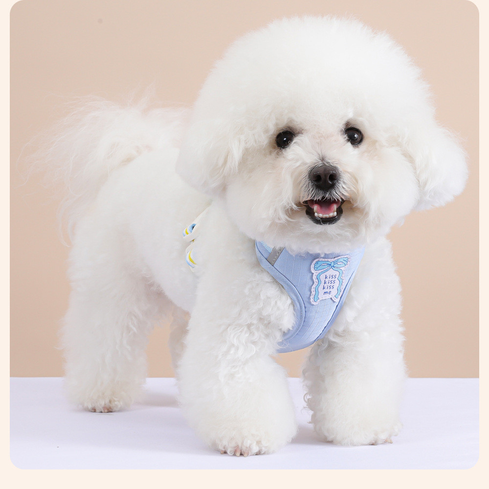 [Pet-Eleven] Phong Cách Hàn Quốc Nơ Ngực Lưng Áo Vest Dễ Thương Phong Cách Dây Đeo Ngực Dây Xích Chó Chống Chia Đêm Phản Quang Đi Chơi Dây Xích Đi Chơi Cho Chó Đi Bộ Dây Đeo Ngực Thú Cưng Mèo / Chó Nhỏ