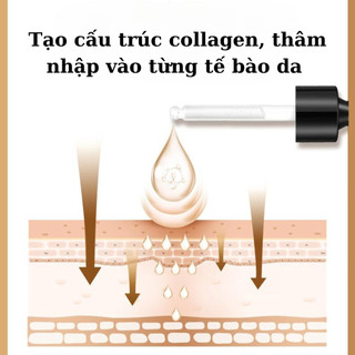 Tinh Chất Chống Nhăn, Giảm Thâm Mụn, Ngừa Lão Hóa, Tăng Độ Đàn Hồi Da, Cải Thiện Sắc Tố Da