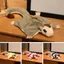 Đồ chơi sóc bay YOLOGO, Đồ chơi nhồi bông đường mềm mại hoạt hình Anime ấm cúng, Limbs đáng yêu dễ thương có nam châm Quà tặng búp bê thủ công phong cách Kawaii cho trẻ em