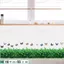 Màu Ấm Áp Đế Tự Dính Bé Gái Trang Trí Phòng Dán Chống Thấm Nước Góc Phòng Ngủ Dán Tường