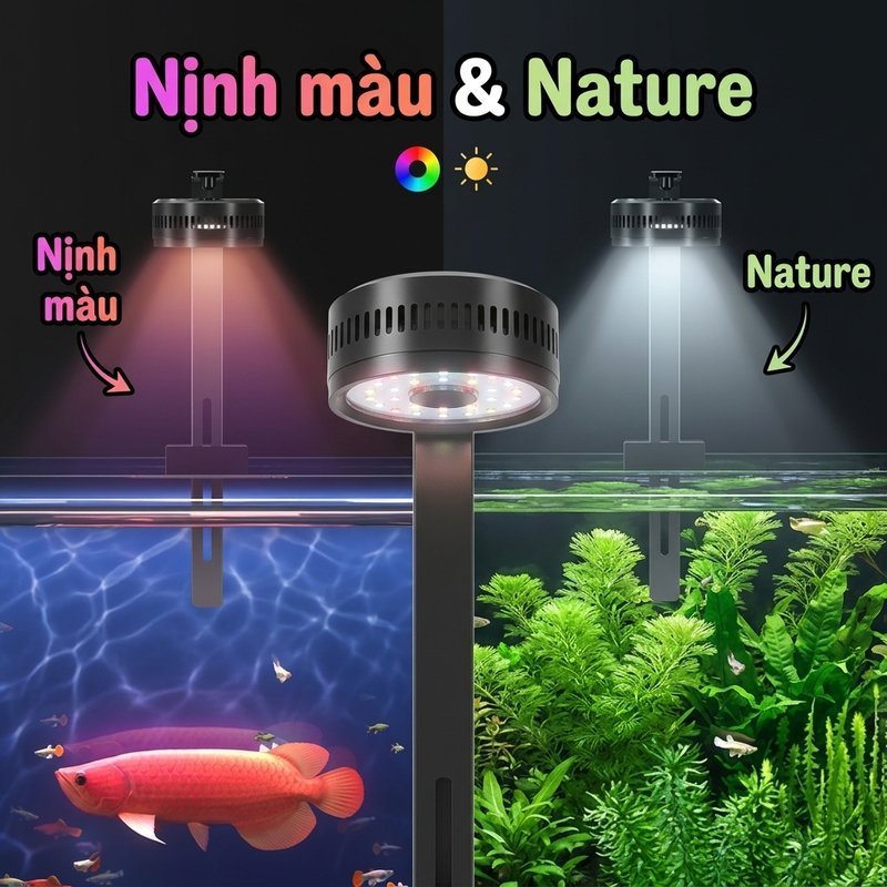Đèn Bể Cá Tròn LED COB ánh sáng tự nhiên nịnh màu cá tạo hiệu ứng sóng nước chân kẹp chống gỉ
