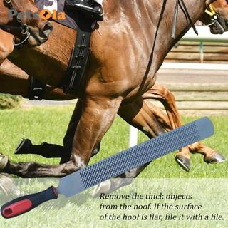 File sắt 14 inch dành cho móng ngựa - Equestrian Rasp để cắt tỉa và bảo dưỡng