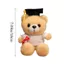BEABOUT 18cm Bác Sĩ Gấu Đồ Chơi Sang Trọng, Búp Bê Thú Nhồi Bông Mềm Mại Dễ Thương, Hoạt Hình Sáng Tạo Hoa Accessorie DIY Tốt Nghiệp Tốt Nghiệp