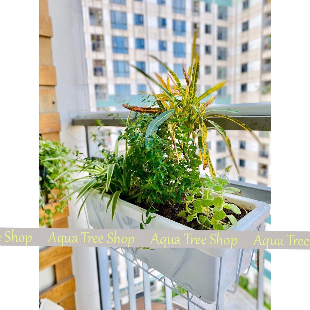 Giỏ sắt treo chậu trồng cây ban công hình chữ nhật, giá treo trồng hoa ban công kích thước 48x21x16cm