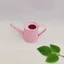 Cc Bình tưới nước bằng sắt dung tích loại nặng để làm sạch nhiều chậu và cửa sổ