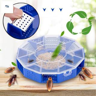 Bẫy gián có thể tái sử dụng Hiệu quả Roach Gián Bẫy gián Hộp bắt vật lý