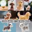 PUSKY Clear Puppy Hair Memorial Keepsake Capsule Pet 's Dog Fur Container DIY Mặt dây chuyền Móc khóa Trang trí Pet Lovers Home Display Quà tặng VN