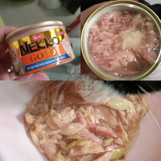 Pate cho mèo Nekko Gold cá ngừ Lon 85gr