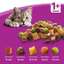 Hạt Whiskas 8 vị lựa chọn. Thức ăn "Hạt có nhân" cho Mèo Con và Mèo Trưởng Thành