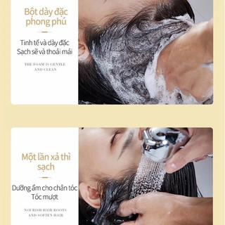 Dầu Gội chống rụng  tóc Gừng Kích Thích Mọc Tóc Giảm Rụng Tóc Làm Sạch Sâu Da Đầu Nhanh kiểm soát dầu loại bỏ gàu500ml