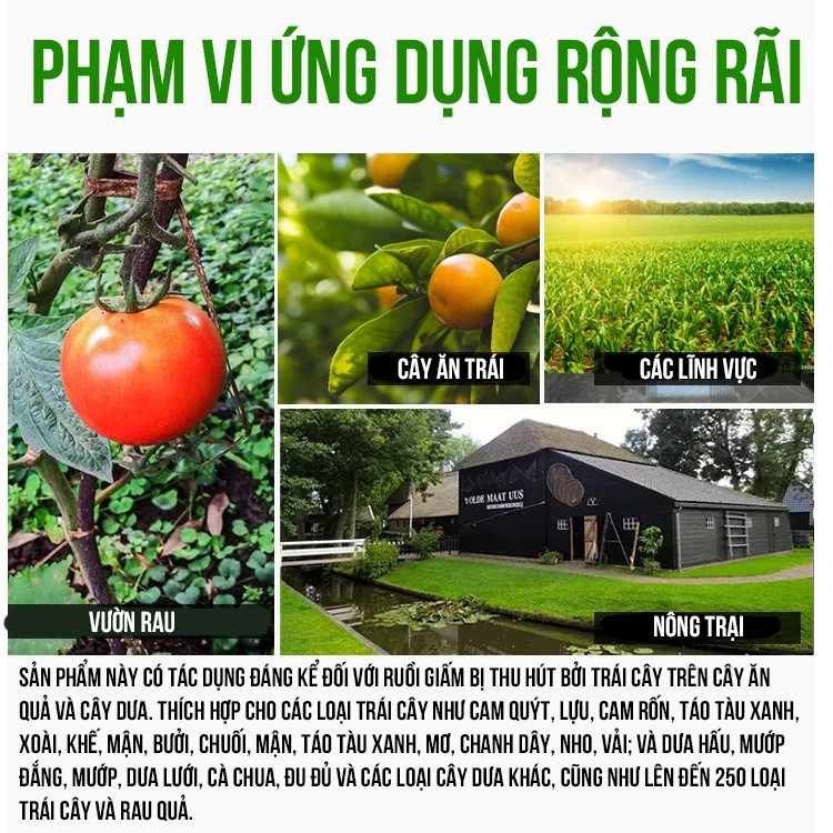 【COD】Keo xịt thu hút ruồi vàng công nghệ Đài Loan, bám chắc trên mọi bề mặt, diệt ruồi triệt để, an toàn cho cây trồng.