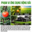 【COD】Chai keo xịt đậm đặc bẫy ruồi vàng cho vườn cây, bảo vệ hoa màu khỏi sâu bệnh hiệu quả.