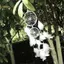 TRTR Trắng Dream Catcher Tròn Lông Vũ Treo Tường Trang Trí Trang Trí Thủ Công VN