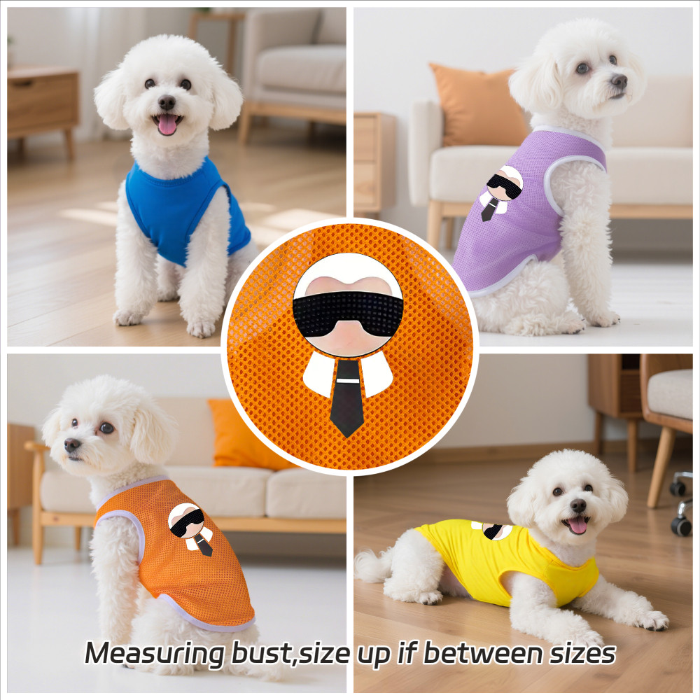 Áo vest thú cưng có kích cỡ S-2XL, có nhiều màu sắc, có họa tiết nhân vật hoạt hình phong cách. có thể thở được và sử dụng ngoài trời vào mùa hè, và phù hợp với tất cả chó mèo nhỏ.