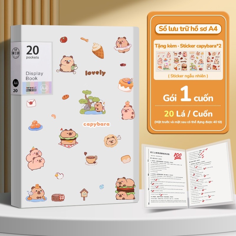 File lá đựng tài liệu A4 trong suốt 30 lá – Tệp đựng hồ sơ đa năng cho học sinh & văn phòng, sticker Capybara