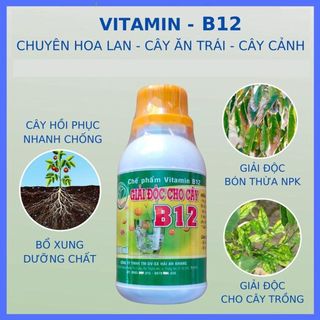 Chế phẩm B12 Tăng  đề kháng Chống Sốc Cho Cây Trồng, Cây Kiểng, Phong Lan, Hoa Kiểng (Lọ 100ML)