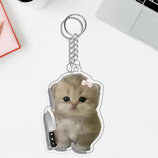 Thanh toán khi nhận hàng móc khóa hình mèo ganci Meme/Móc khóa hình mèo ngộ nghĩnh Acrylic 2 mặt in UV akmal