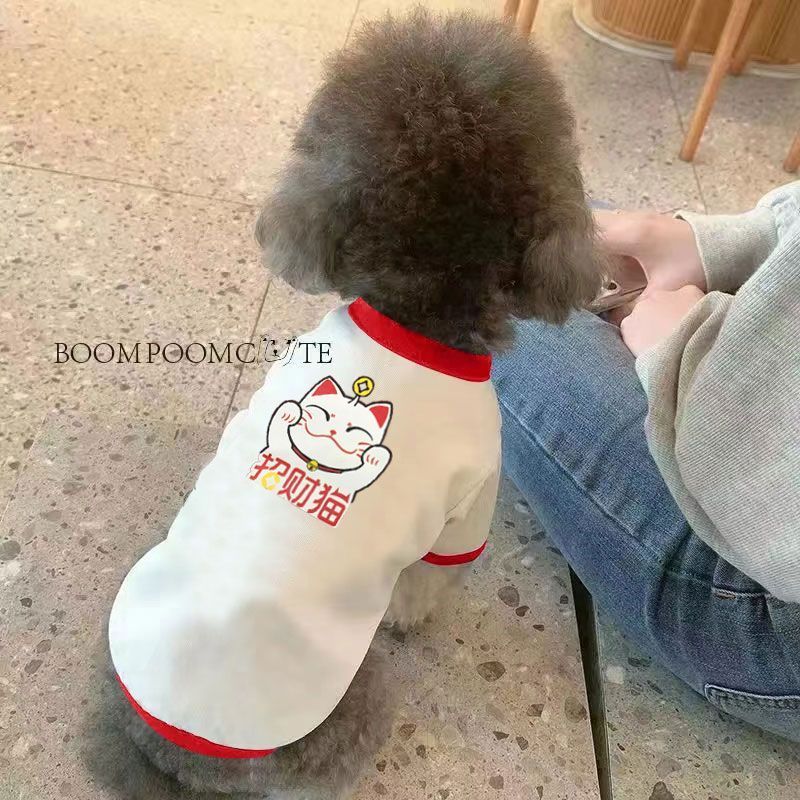 Thú Cưng Chó Mèo Mùa Xuân Mùa Hè Quần Áo Dạo Phố Thú Cưng Hoạt Hình Nhỏ Vừa Quần Áo Cho Chó Mỏng Phong Cách Corgi Teddy Pháp Chiến Đấu