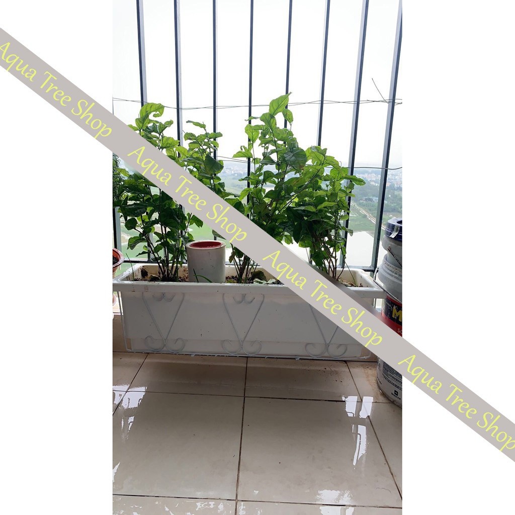 Giỏ sắt treo chậu trồng cây ban công hình chữ nhật, giá treo trồng hoa ban công kích thước 48x21x16cm