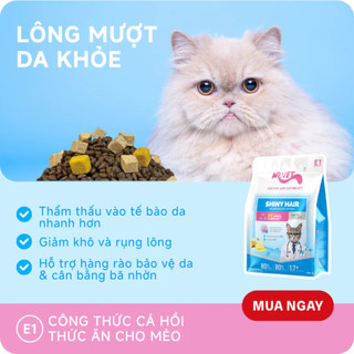 Hạt Cho Mèo MRVET E1 E2 E3 Gói 1KG Hỗ Trợ Chăm Sóc Tiết Niệu , Lông Da và Tiêu Hóa