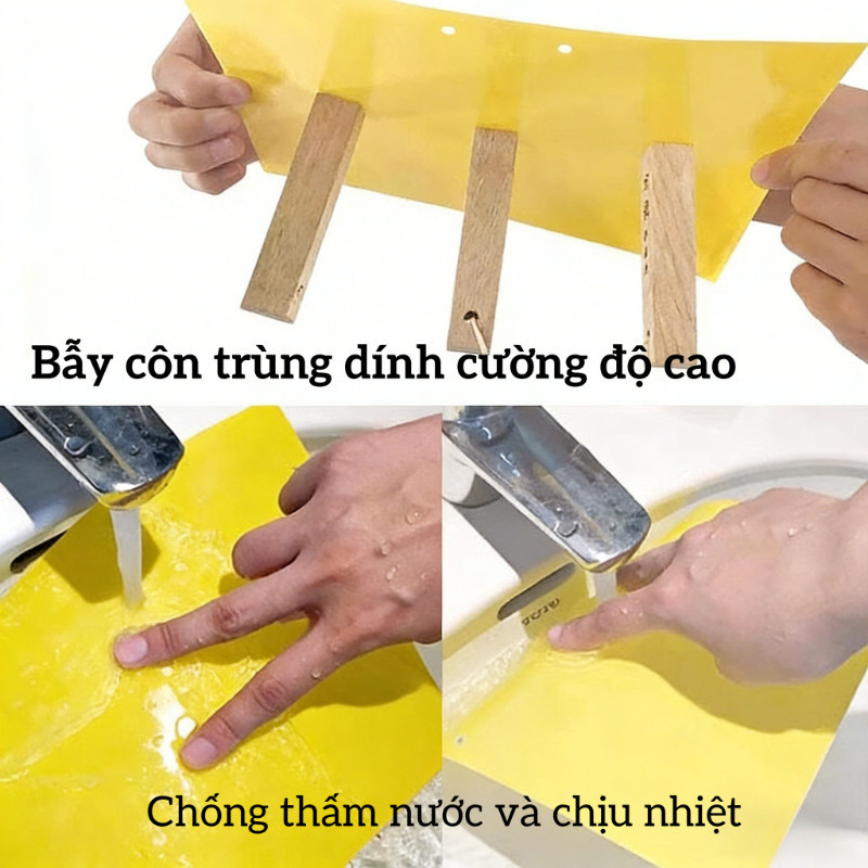 Bẫy Dính Ruồi Vàng 2 Mặt 10x20cm - Hiệu Quả Cao Trong Việc Dụ Và Diệt Ruồi Vàng, Côn Trùng Gây Hại Cho Vườn Cây