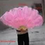 Quạt lông cầm tay ROLY, Quạt gấp 12 xương đà điểu màu đỏ lớn, Đạo cụ đường băng 30 * 52cm 35 * 60cm Hiệu suất quạt lông thủ công